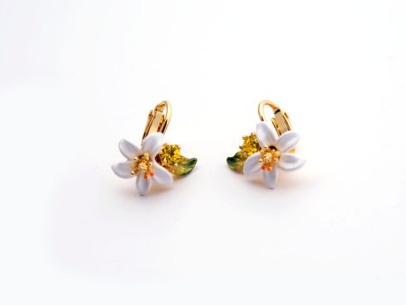 Les Nereides Orange Blossom Clip-On Earrings Online Sale