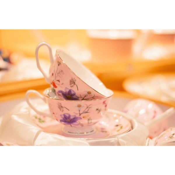 Stechol Fine Bone China Cups and Saucer 12pcs For Sale